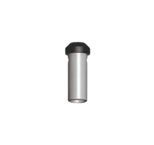 Check Valve